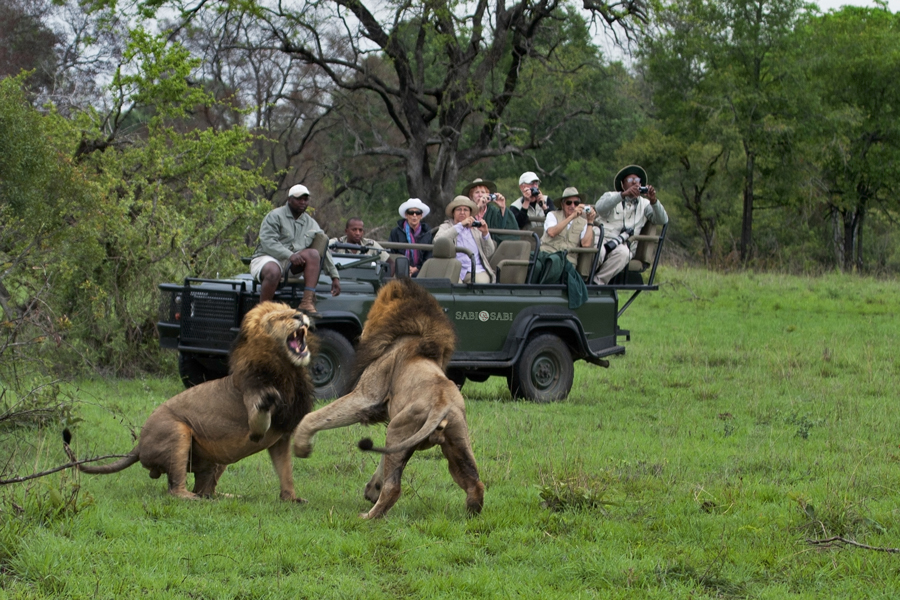 Safari-Images-16.jpg
